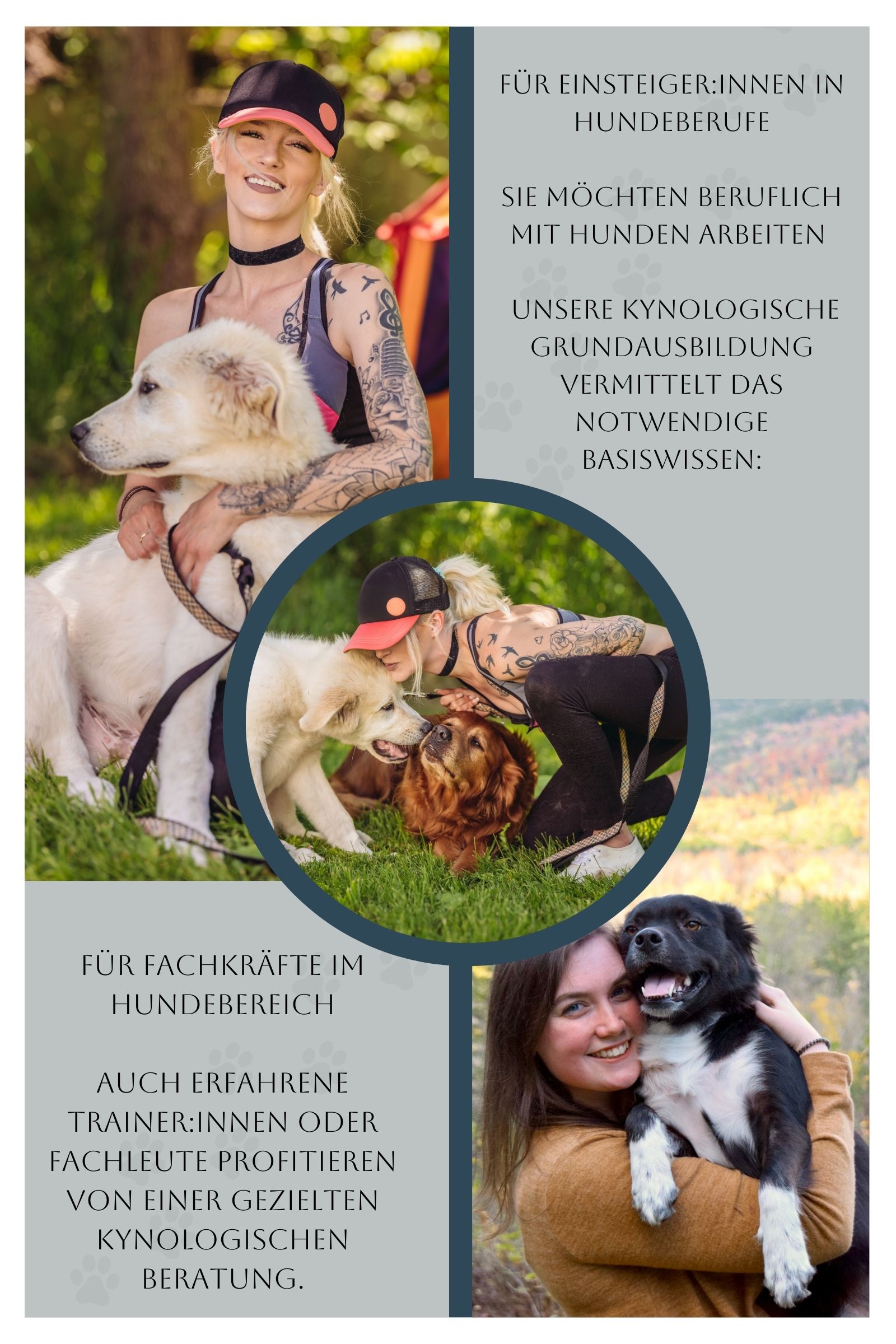 Hundetrainer-Ausbildung bei Canicanum