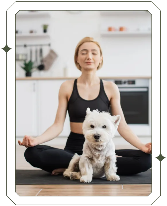 Stressmanagement für Mensch und Hund